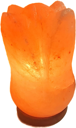 Salzlampe "Tulpe 1"