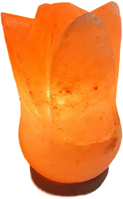 Salzlampe "Tulpe 1"