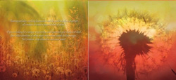CD Salzgrotte "Magic Moments"