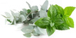 Salzbonbons aus Himalaya-Kristallsalz-Sole, Eukalyptus-Menthol 1 kg (Multipack)