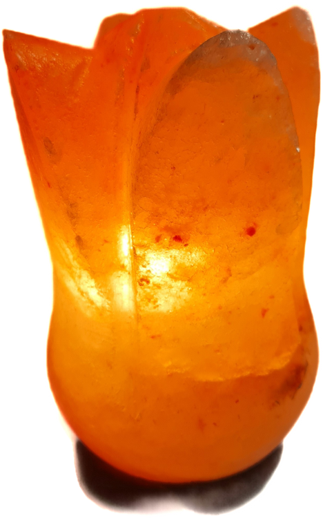 Salzlampe "Tulpe 1"