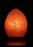 Salzlampe Fsl7