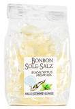 SALZBONBONS AUS HIMALAYA-KRISTALLSALZ-SOLE - EUKALYPTUS-MENTHOL  100g