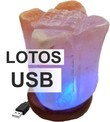 USB Salzlampe "Lotus"