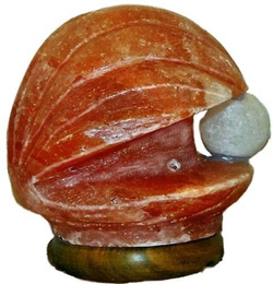 Salzlampe Perle in Muschel