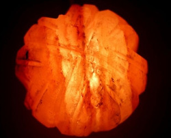 Salzlampe Fsl9