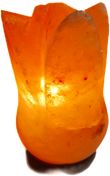 Salzlampe "Tulpe 1"