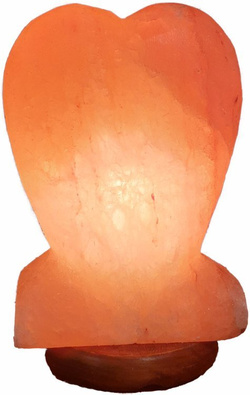 Salzlampe Fsl6