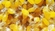 Salzbonbons aus Himalaya-Kristallsalz-Sole - Banane 1 kg (Multipack)
